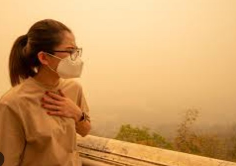 Students affected by wildfire