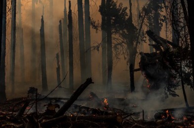 Students affected by wildfire