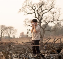 Students affected by wildfire